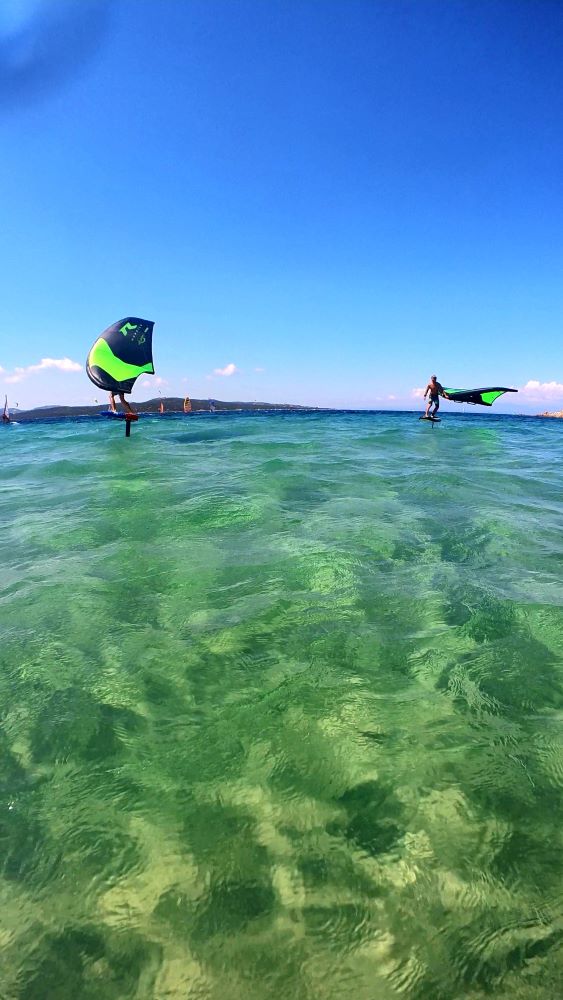 reptie-rfoil-classic